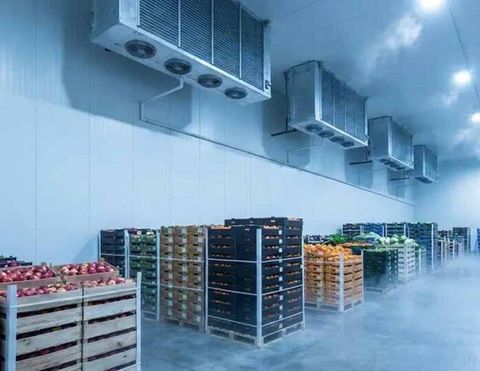 Frozen Storage Systems: Types, Temperature Control, Features & Applications